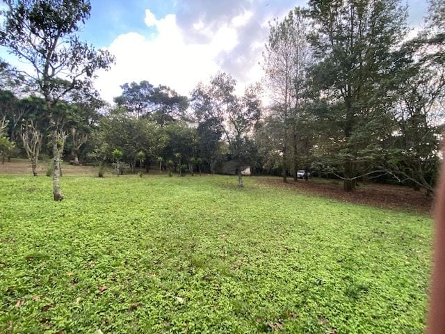 Propiedad en venta Santa Elena Barillas km 31 — Terreno en Venta en Santa Elena Barillas, Guatemala, Ciudad — foto 3 de 7