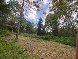 Propiedad en venta Santa Elena Barillas km 31 — Terreno en Venta en Santa Elena Barillas, Guatemala, Ciudad — miniatura 4 de 7
