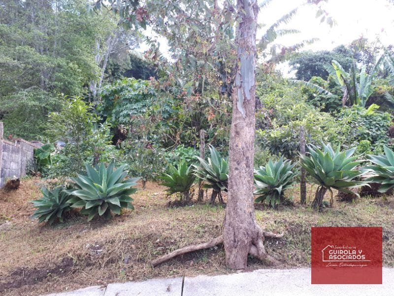 Terreno en venta en Santa Rosalia La Laguna 037TVSTD — Terreno en Venta en Santa Rosalia La Laguna, Carretera a El Salvador, Guatemala, Ciudad — foto 2 de 4