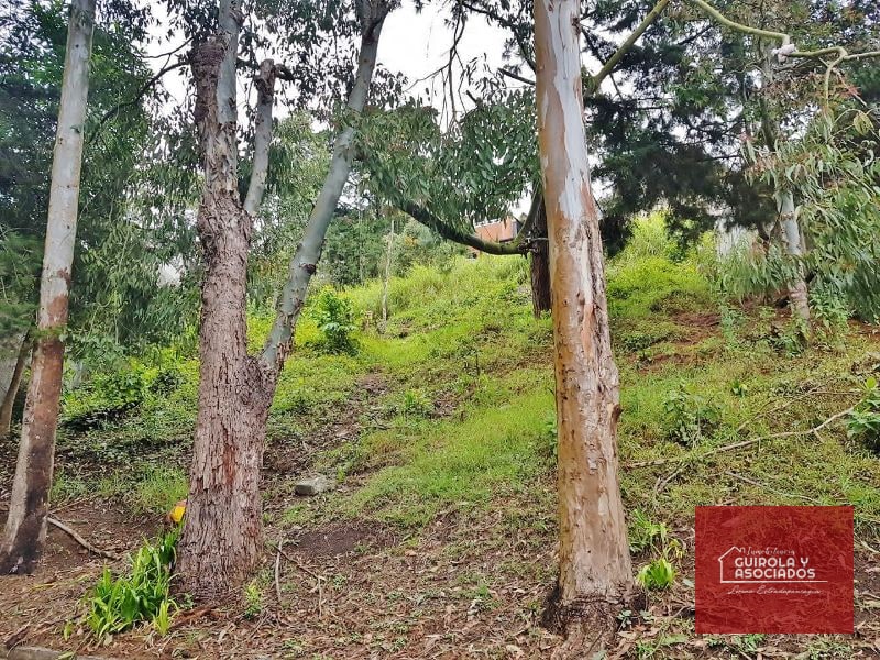 TERRENO EN VENTA EN SANTA ROSALIA LA LAGUNA 017TVSTD — Terreno en Venta en Santa Rosalia La Laguna, Carretera a El Salvador, Guatemala, Ciudad — foto 1 de 2
