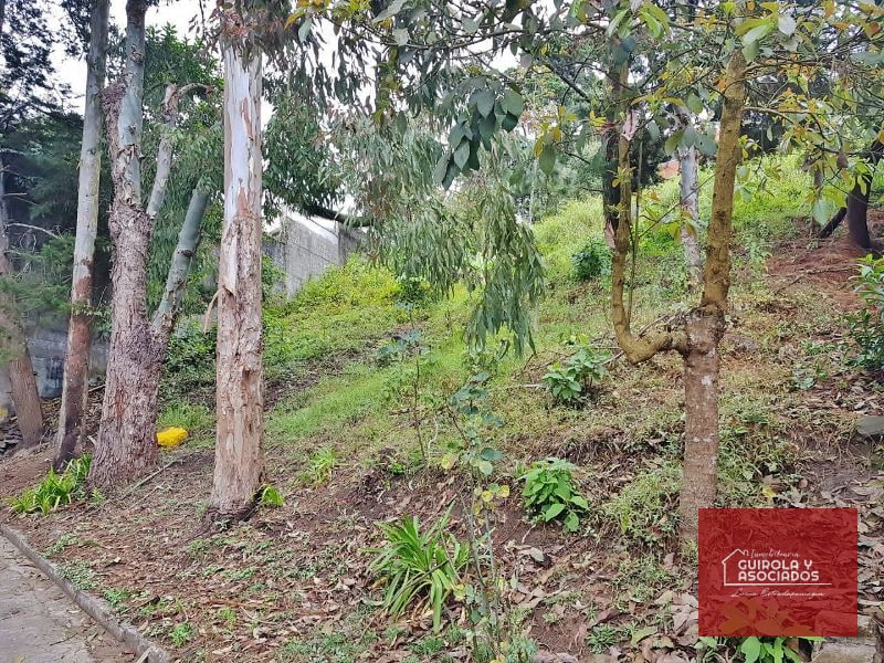 TERRENO EN VENTA EN SANTA ROSALIA LA LAGUNA 017TVSTD — Terreno en Venta en Santa Rosalia La Laguna, Carretera a El Salvador, Guatemala, Ciudad — foto 2 de 2
