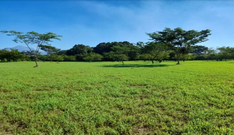 Alquilo terreno en parque industrial en Escuintla — Terreno en Alquiler en Escuintla, Escuintla — foto 4 de 4