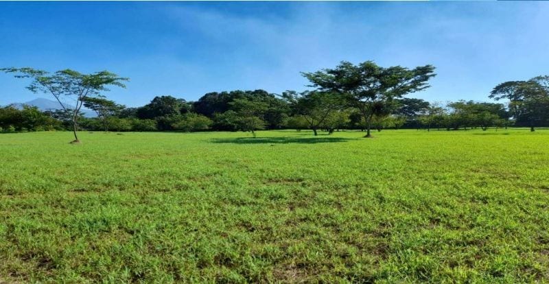 Rento terreno en parque industrial en Escuintla — Terreno en Alquiler en Escuintla, Escuintla — foto 1 de 2