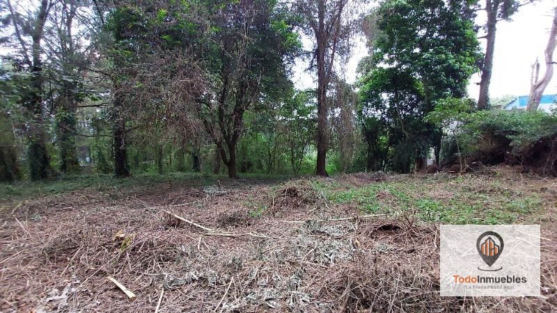 Terreno en Renta en Carretera a El Salvador km 19 - Villas del Pinar Fraijanes — Terreno en Alquiler en Villas del Pinar, Carretera a El Salvador, Guatemala, Ciudad — foto 6 de 6