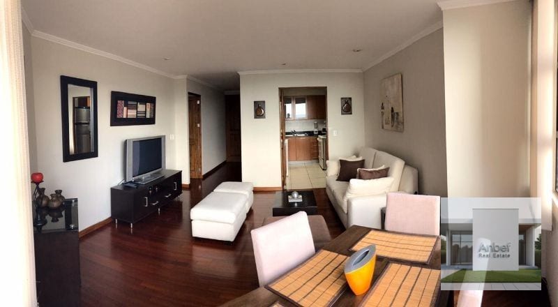 REAL de las AMERICAS Apartamento Amueblado 1 Dormitorio Zona 14 — Apartamento en Alquiler en Real de Las Américas, Zona 14, Guatemala, Ciudad — foto 3 de 8