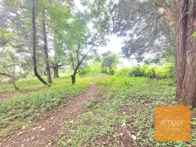 Venta Terreno km. 28 Carretera a El Salvador — Terreno en Venta en Carretera a El Salvador, Guatemala, Ciudad — foto 2 de 7