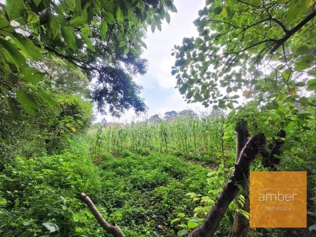 Venta Terreno km. 28 Carretera a El Salvador — Terreno en Venta en Carretera a El Salvador, Guatemala, Ciudad — foto 3 de 7