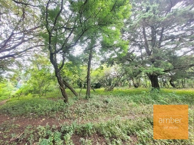 Venta Terreno km. 28 Carretera a El Salvador — Terreno en Venta en Carretera a El Salvador, Guatemala, Ciudad — foto 1 de 7