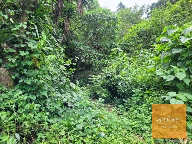 Venta Terreno km. 28 Carretera a El Salvador — Terreno en Venta en Carretera a El Salvador, Guatemala, Ciudad — foto 4 de 7
