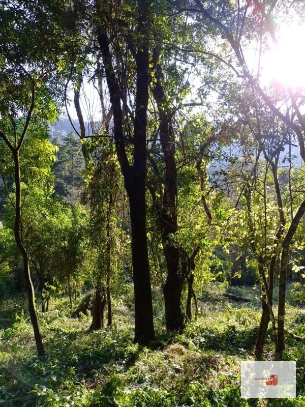Venta de Terreno en El Encinal Tronco 8 - Mixco Guate — Terreno en Venta en Zona 7 Mixco, Guatemala, Ciudad — foto 10 de 11