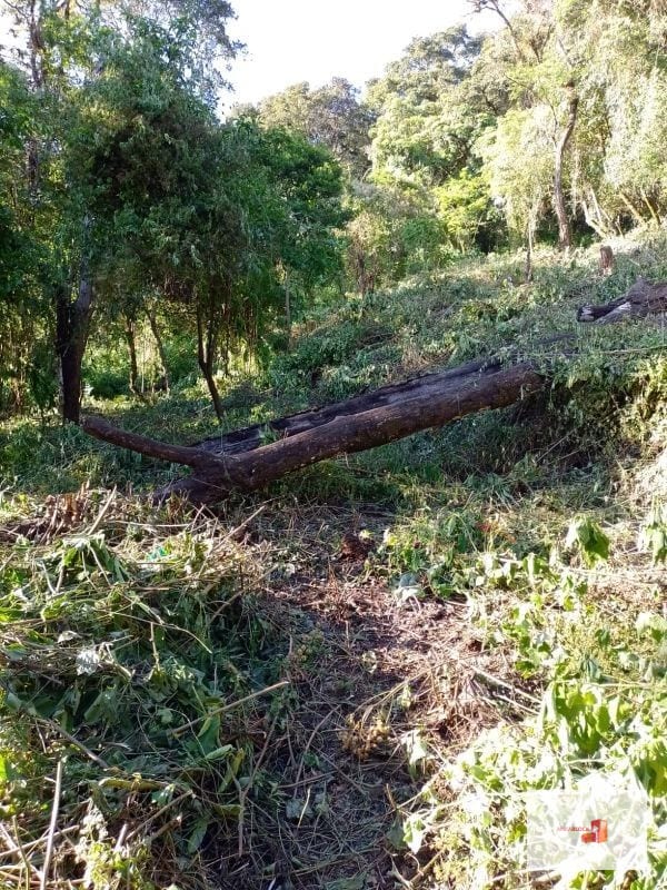 Venta de Terreno en El Encinal Tronco 8 - Mixco Guate — Terreno en Venta en Zona 7 Mixco, Guatemala, Ciudad — foto 11 de 11