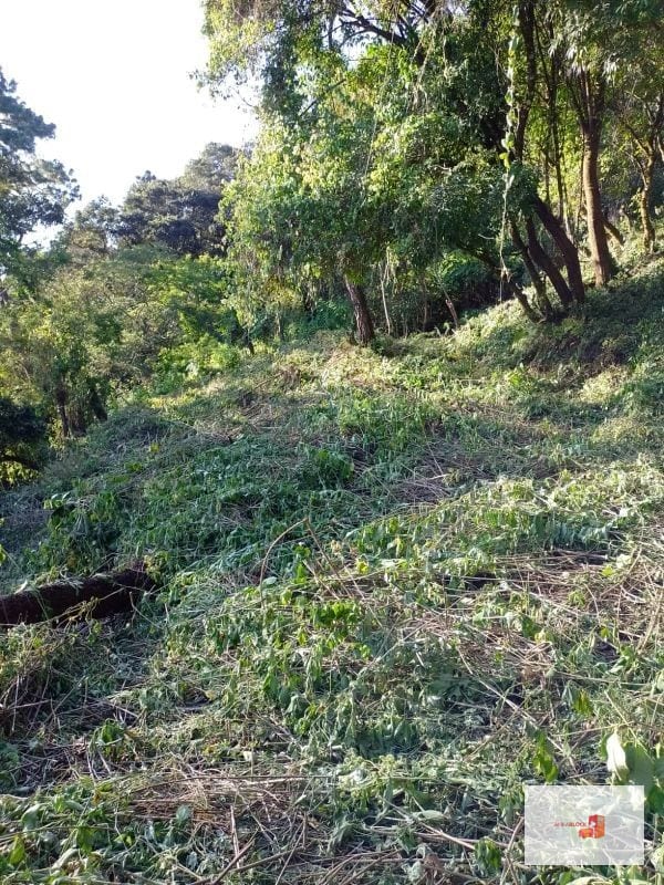Venta de Terreno en El Encinal Tronco 8 - Mixco Guate — Terreno en Venta en Zona 7 Mixco, Guatemala, Ciudad — foto 7 de 11
