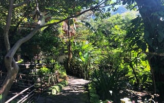 Casa a la venta en el valle alto de San Marcos La Laguna — Casa en Venta en San Marcos La Laguna, Sololá — miniatura 15 de 17