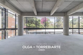 Oficina en Edificio Burgo, zona 14 — Oficina en Alquiler en Burgó, Zona 14, Guatemala, Ciudad — miniatura 13 de 13