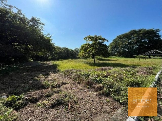 Terreno en Escuintla — Terreno en Alquiler en Escuintla, Escuintla — foto 3 de 4