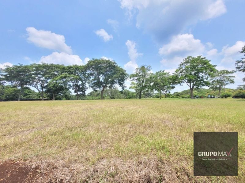 Terreno Industrial para Bodega Km 67.5 a Taxisco — Terreno en Venta en Escuintla, Escuintla — foto 7 de 8