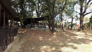 TERRENO CALZADA ROOSEVELT EN VENTA — Terreno en Venta en Zona 1 Mixco, Guatemala, Ciudad — miniatura 11 de 11