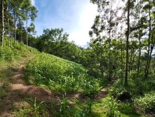 FINCA EN VENTA EN SAN JOSE PINULA CAMINO A LOS OCOTES — Finca en Venta en San José Pinula, Guatemala, Ciudad — miniatura 11 de 17