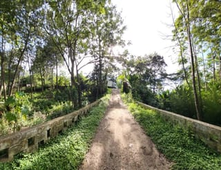 FINCA EN VENTA EN SAN JOSE PINULA CAMINO A LOS OCOTES — Finca en Venta en San José Pinula, Guatemala, Ciudad — miniatura 15 de 17