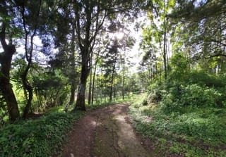 FINCA EN VENTA EN SAN JOSE PINULA CAMINO A LOS OCOTES — Finca en Venta en San José Pinula, Guatemala, Ciudad — miniatura 4 de 17