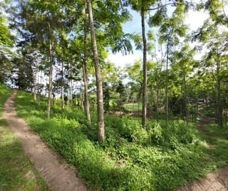 FINCA EN VENTA EN SAN JOSE PINULA CAMINO A LOS OCOTES — Finca en Venta en San José Pinula, Guatemala, Ciudad — miniatura 6 de 17