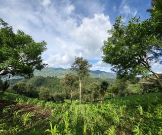 FINCA EN VENTA EN SAN JOSE PINULA CAMINO A LOS OCOTES — Finca en Venta en San José Pinula, Guatemala, Ciudad — miniatura 2 de 17