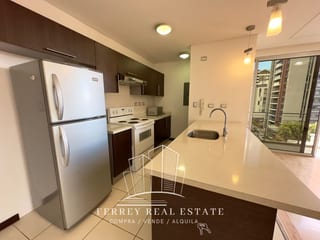 Apartamento de 2 dormitorios — Apartamento en Alquiler en Zona 14, Guatemala, Ciudad — miniatura 11 de 15