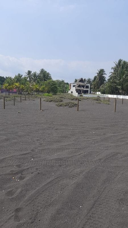 MARENA TERRENO PUERTO EN VENTA — Terreno en Venta en Marena, Puerto San José, Escuintla — foto 2 de 5