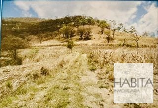 Vendo terreno rumbo a Palencia km21.1 — Terreno en Venta en palencia, Guatemala, Ciudad — miniatura 4 de 7