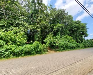 VENDO TERRENO GRANDE EN MAZATENANGO IDEAL DESARROLLO — Terreno en Venta en Mazatenango, Suchitepéquez — miniatura 1 de 9