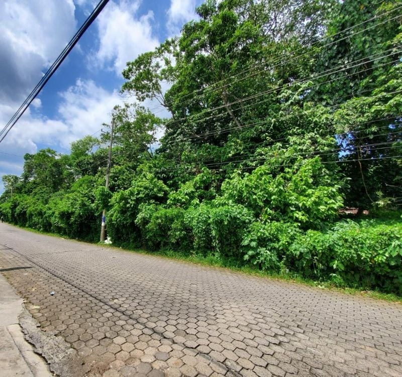 VENDO TERRENO GRANDE EN MAZATENANGO IDEAL DESARROLLO — Terreno en Venta en Mazatenango, Suchitepéquez — foto 3 de 9