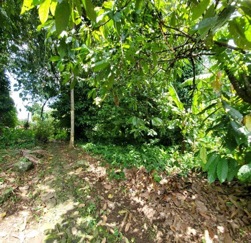 VENDO TERRENO GRANDE EN MAZATENANGO IDEAL DESARROLLO — Terreno en Venta en Mazatenango, Suchitepéquez — foto 8 de 9