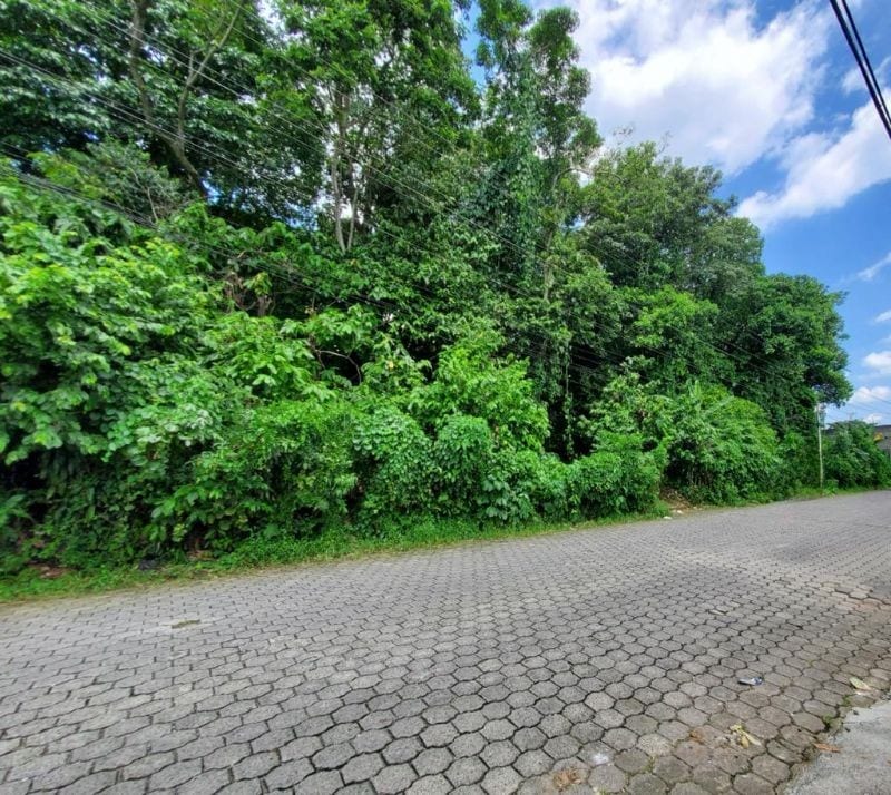 VENDO TERRENO GRANDE EN MAZATENANGO IDEAL DESARROLLO — Terreno en Venta en Mazatenango, Suchitepéquez — foto 9 de 9