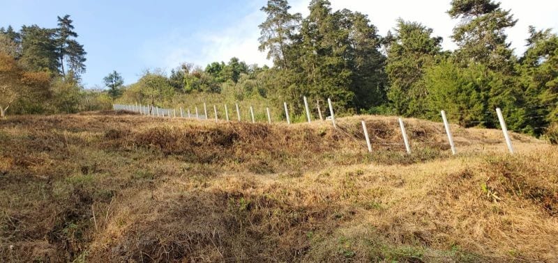 TERRENO GRANDE EN VENTA EN SAN JOSE PINULA KM 19 — Terreno en Venta en San José Pinula, Guatemala, Ciudad — foto 8 de 14