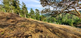 TERRENO GRANDE EN VENTA EN SAN JOSE PINULA KM 19 — Terreno en Venta en San José Pinula, Guatemala, Ciudad — miniatura 9 de 14
