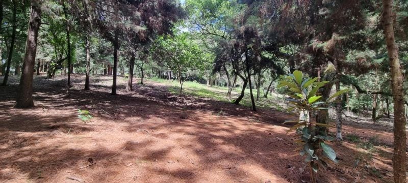 Lindo terreno en venta, Las Tinajas, SCP — Terreno en Venta en Las Tinajas, Santa Catarina Pinula, Guatemala, Ciudad — foto 3 de 7