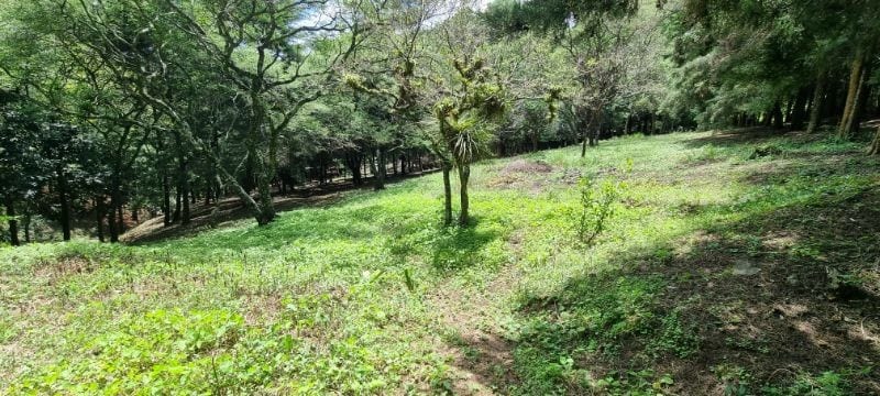 Lindo terreno en venta, Las Tinajas, SCP — Terreno en Venta en Las Tinajas, Santa Catarina Pinula, Guatemala, Ciudad — foto 5 de 7