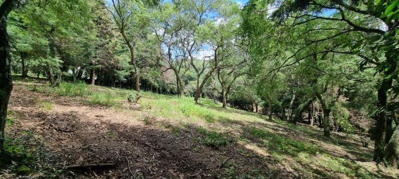 Lindo terreno en venta, Las Tinajas, SCP — Terreno en Venta en Las Tinajas, Santa Catarina Pinula, Guatemala, Ciudad — foto 2 de 7