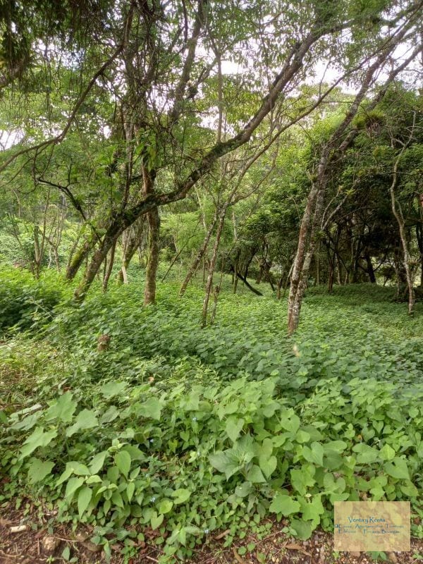 Terreno en VistalValle Carretera al Salvador — Terreno en Venta en km 11-15, Carretera a El Salvador, Guatemala, Ciudad — foto 6 de 8