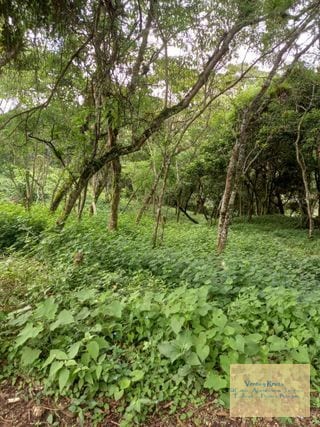 Terreno en VistalValle Carretera al Salvador — Terreno en Venta en km 11-15, Carretera a El Salvador, Guatemala, Ciudad — miniatura 6 de 8