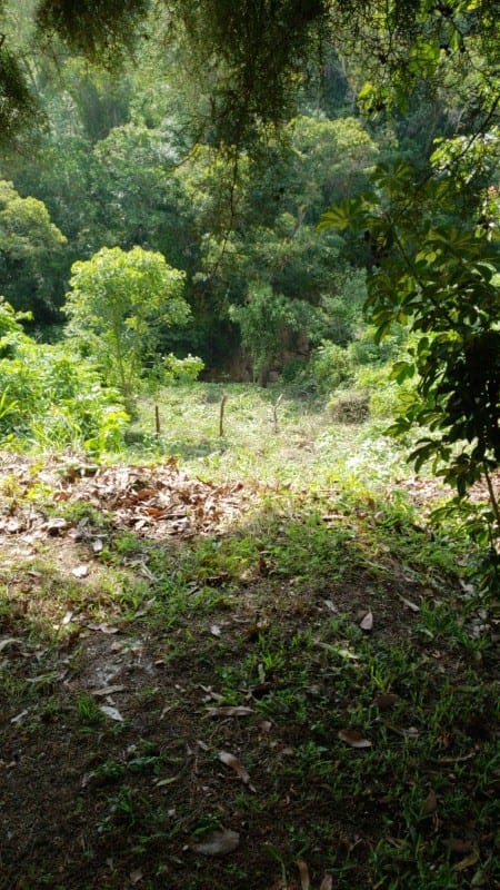Vendo terreno en La Montaña zona 16, dentro de garita — Terreno en Venta en La Montaña, Zona 16, Guatemala, Ciudad — foto 2 de 5