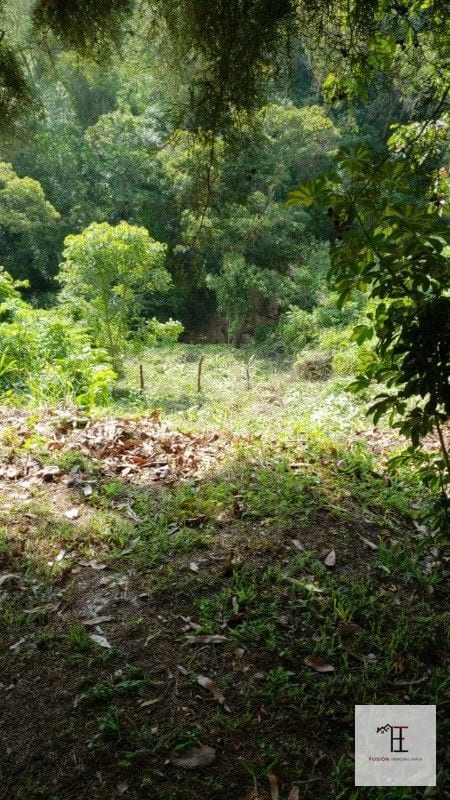 Vendo terreno en La Montaña zona 16, dentro de garita — Terreno en Venta en La Montaña, Zona 16, Guatemala, Ciudad — foto 2 de 5