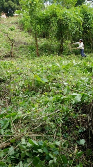 Vendo terreno en La Montaña zona 16, dentro de garita — Terreno en Venta en La Montaña, Zona 16, Guatemala, Ciudad — miniatura 4 de 5