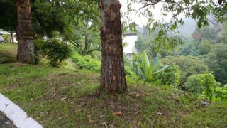 Vendo terreno en La Montaña zona 16, dentro de garita — Terreno en Venta en La Montaña, Zona 16, Guatemala, Ciudad — miniatura 1 de 5