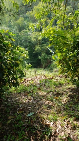 Vendo terreno en La Montaña zona 16, dentro de garita — Terreno en Venta en La Montaña, Zona 16, Guatemala, Ciudad — miniatura 5 de 5
