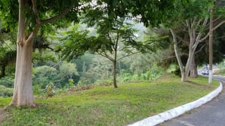 Vendo terreno en La Montaña zona 16, dentro de garita — Terreno en Venta en La Montaña, Zona 16, Guatemala, Ciudad — miniatura 3 de 5