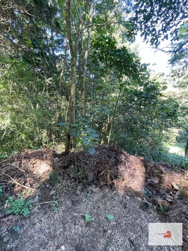 Terreno en lotificación Carr.a El Salvador 1/2 Mz. Km.22.5  — Terreno en Venta en Carretera a El Salvador, Guatemala, Ciudad — foto 8 de 10