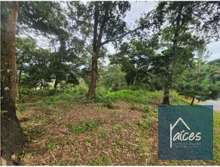 Terreno en venta EL PULTÉ GOLF Zona 16 (D) — Terreno en Venta en El Pulté, Zona 16, Guatemala, Ciudad — miniatura 2 de 2
