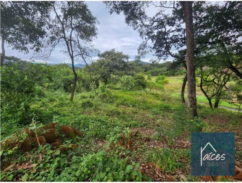 Terreno en venta EL PULTÉ GOLF Zona 16 (D) — Terreno en Venta en El Pulté, Zona 16, Guatemala, Ciudad — foto 4 de 4