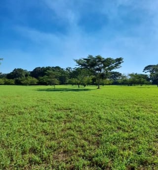 Alquilo terreno en parque industrial en Escuintla — Terreno en Alquiler en Escuintla, Escuintla — miniatura 2 de 4